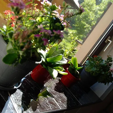 Bed & Breakfast Osrodek Wypoczynkowy Pod Stokiem 3*