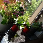 Bed & Breakfast Osrodek Wypoczynkowy Pod Stokiem 3*