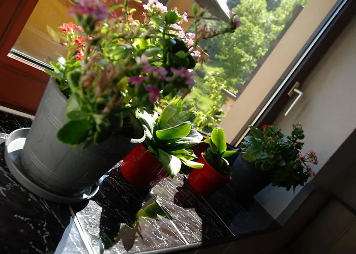 Bed & Breakfast Osrodek Wypoczynkowy Pod Stokiem 3*